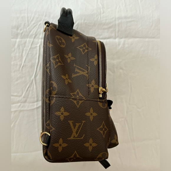 Palm Springs Monogram Mini Bag - Picture 2 of 16